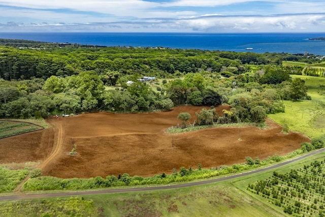 1436 Maikalani St, Hilo, HI 96720 - aerial view of a nearby body of water
