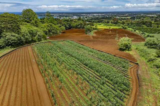 1436 Maikalani St, Hilo, HI 96720 - aerial view of sparsely populated area