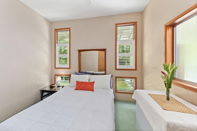 1436 Maikalani St, Hilo, HI 96720 - view of carpeted bedroom