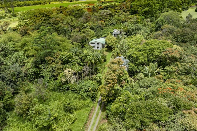 1436 Maikalani St, Hilo, HI 96720 - bird's eye view of a heavily wooded area