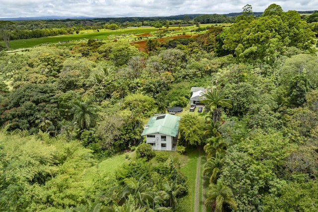 1436 Maikalani St, Hilo, HI 96720 - bird's eye view of a forest