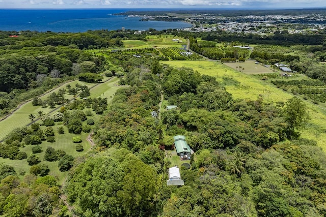 1436 Maikalani St, Hilo, HI 96720 - view of property location featuring a nearby body of water
