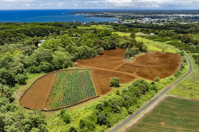 1436 Maikalani St, Hilo, HI 96720 - view of rural area with a large body of water