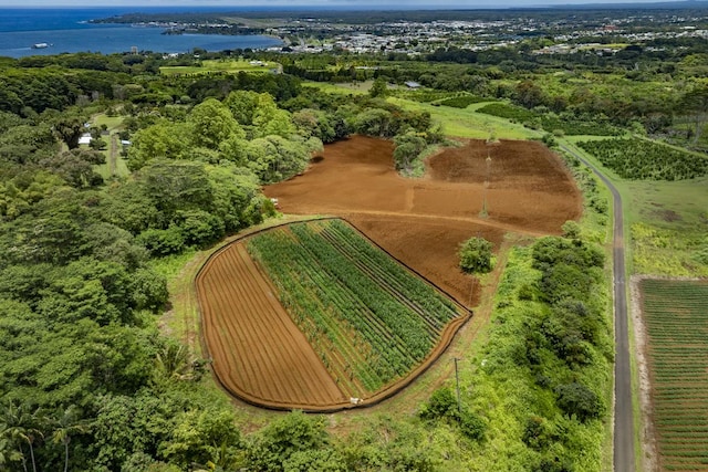 1436 Maikalani St, Hilo, HI 96720 - overview of rural landscape with a large body of water and large plots for crops