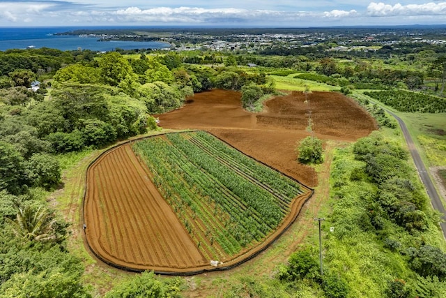 1436 Maikalani St, Hilo, HI 96720 - aerial view of sparsely populated area featuring a nearby body of water