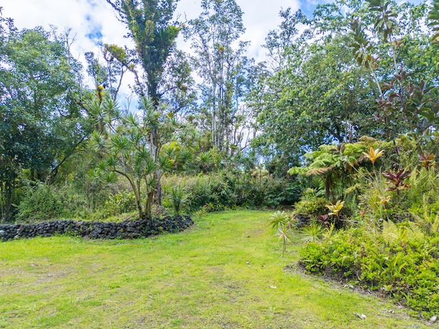 13-1270 Leilani Ave, Pahoa, HI 96778 - photo 3