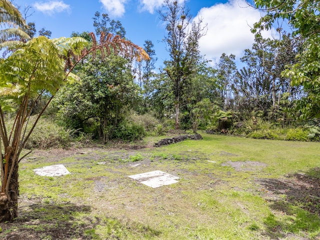 13-1270 Leilani Ave, Pahoa, HI 96778 - photo 4