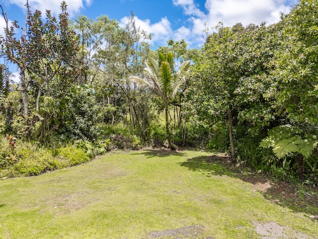 13-1270 Leilani Ave, Pahoa, HI 96778 - photo 5