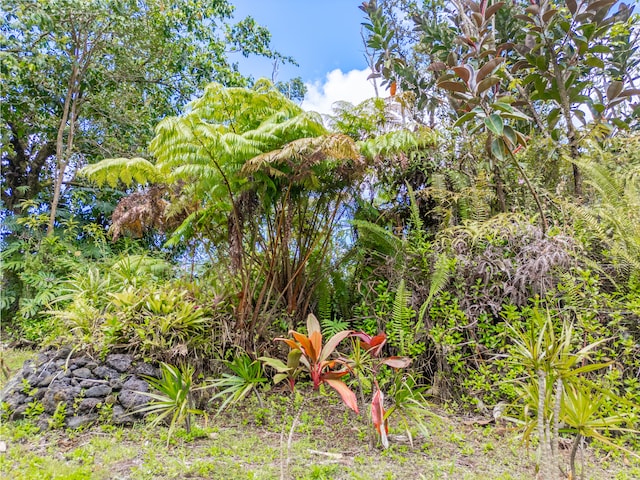 13-1270 Leilani Ave, Pahoa, HI 96778 - photo 6