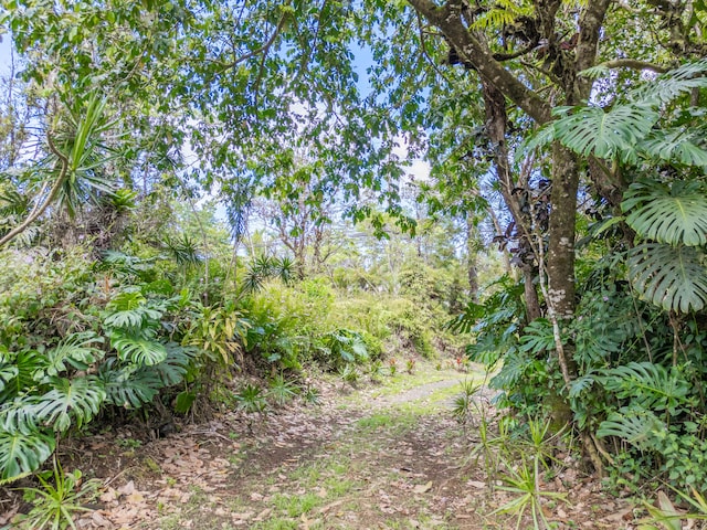 13-1270 Leilani Ave, Pahoa, HI 96778 - photo 7