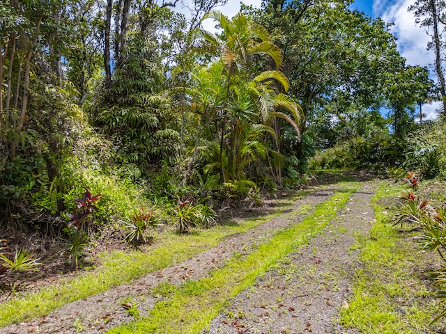 13-1270 Leilani Ave, Pahoa, HI 96778 - photo 8