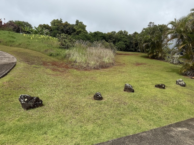 5491 Puulima Rd Unit B, Kalaheo, HI 96741