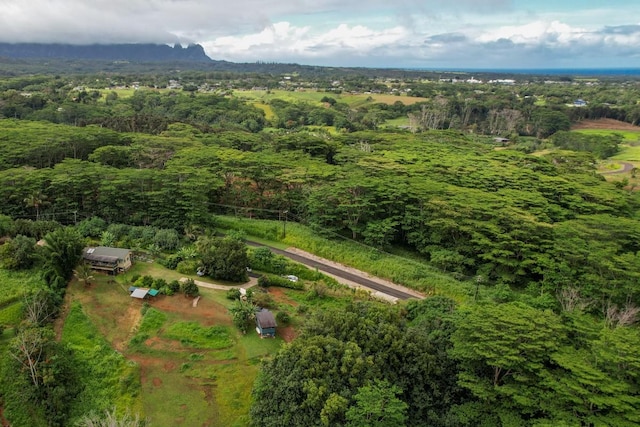 5565-D Hauiki Rd, Kapaa, HI 96746 - aerial view of a forest
