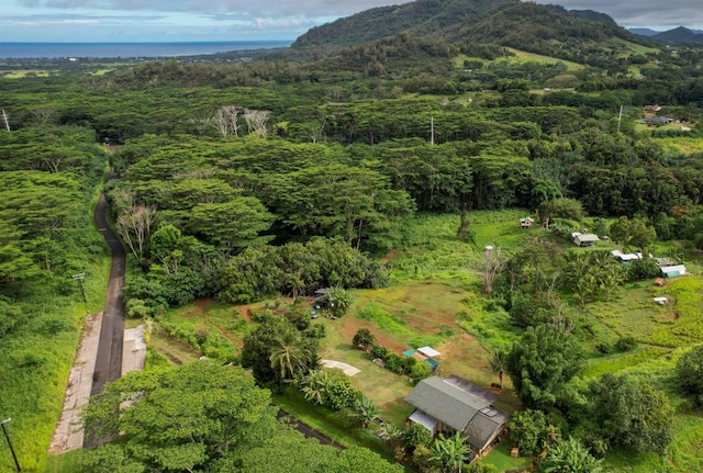 5565-D Hauiki Rd, Kapaa, HI 96746 - aerial overview of property's location with a forest and mountains
