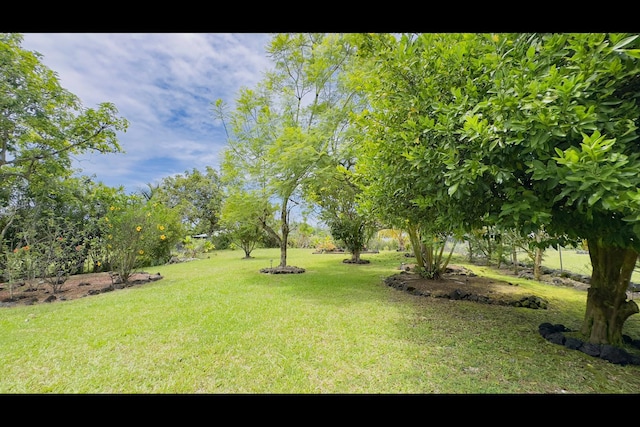 15-2811 Manalo St, Pahoa, HI 96778 - view of grassy yard