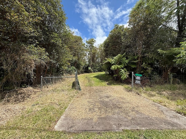 18-4211 Lehuanani St, Volcano, HI 96785 - photo 2