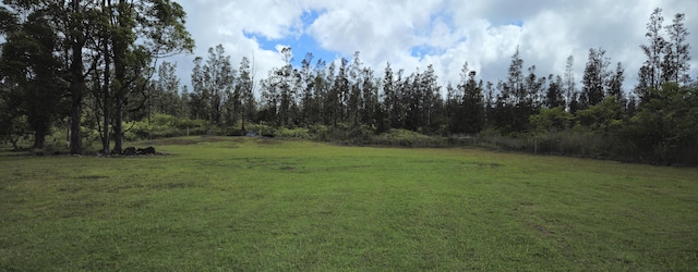 16-1436 Uhini Ana Rd, Mountain View, HI 96760