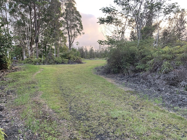 16-1436 Uhini Ana Rd, Mountain View, HI 96760