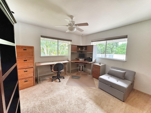 73-1259 Melomelo St, Kailua-Kona, HI 96740 - office area with plenty of natural light, carpet floors, and ceiling fan