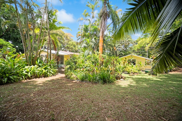 147 Royal Dr, Kapaa, HI 96746 - view of grassy yard