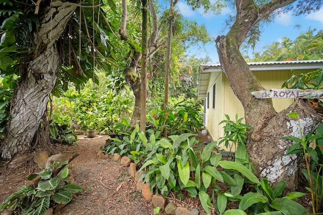 147 Royal Dr, Kapaa, HI 96746 - view of yard