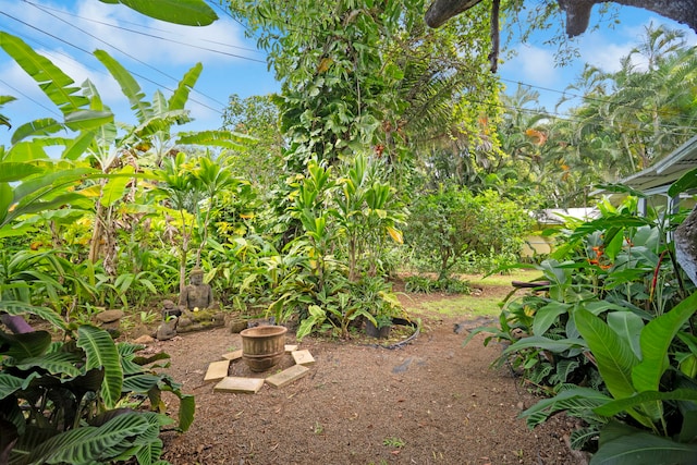 147 Royal Dr, Kapaa, HI 96746 - view of yard
