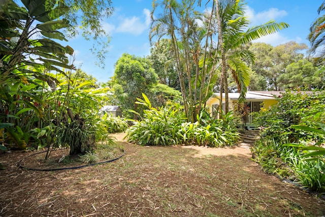 147 Royal Dr, Kapaa, HI 96746 - view of yard