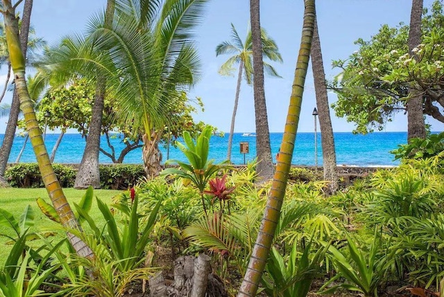 75-5776 Kuakini Hwy Unit 336, Kailua-Kona, HI 96740 - photo 5