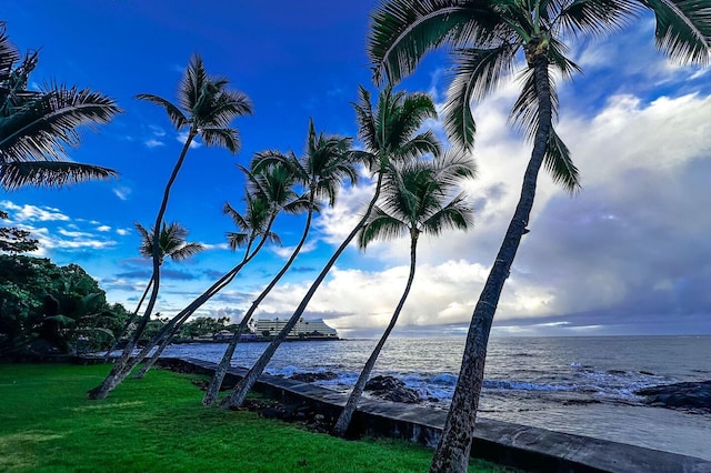 75-5776 Kuakini Hwy Unit 336, Kailua-Kona, HI 96740 - photo 28