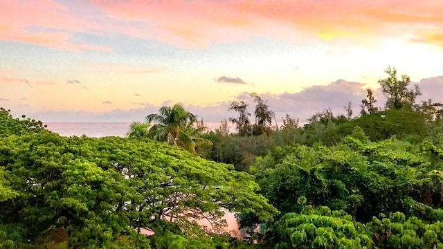 1875 Kalanianaole St Unit 504, Hilo, HI 96720 - view of undeveloped land with a nearby body of water
