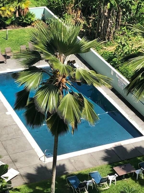 1875 Kalanianaole St Unit 504, Hilo, HI 96720 - view of pool
