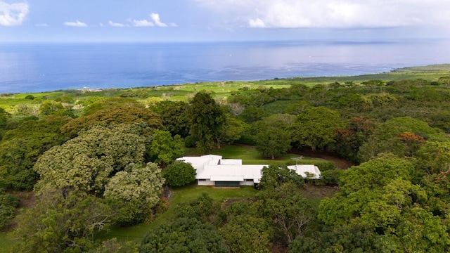 86-4190 Hookena Beach Rd, Captain Cook, HI 96704 - aerial view of property and surrounding area with a heavily wooded area and a large body of water