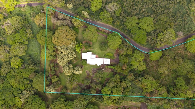 86-4190 Hookena Beach Rd, Captain Cook, HI 96704 - aerial view of property's location featuring property boundaries highlighted