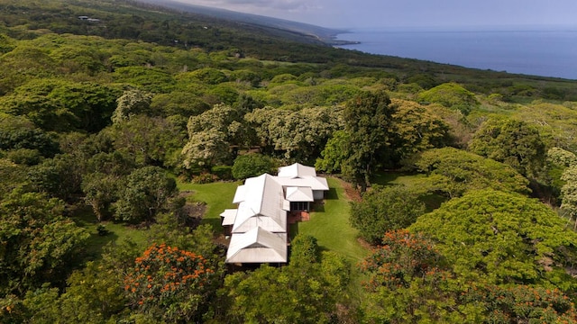 86-4190 Hookena Beach Rd, Captain Cook, HI 96704 - view of subject property featuring a forest and a nearby body of water