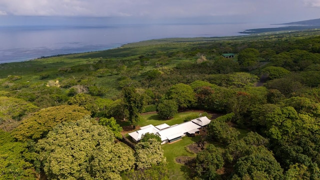 86-4190 Hookena Beach Rd, Captain Cook, HI 96704 - view of property location with a forest