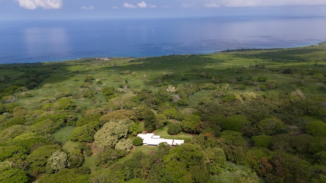 86-4190 Hookena Beach Rd, Captain Cook, HI 96704 - aerial view of property and surrounding area with a forest and a large body of water