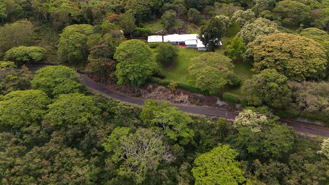 86-4190 Hookena Beach Rd, Captain Cook, HI 96704 - view of property location with a forest