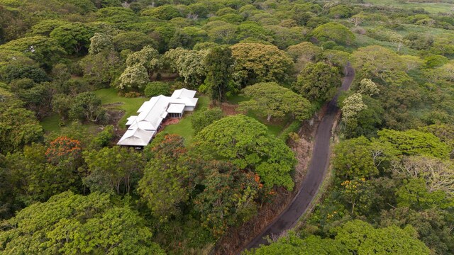 86-4190 Hookena Beach Rd, Captain Cook, HI 96704 - view of property location featuring a heavily wooded area
