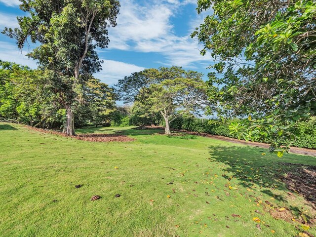 86-4190 Hookena Beach Rd, Captain Cook, HI 96704 - view of grassy yard