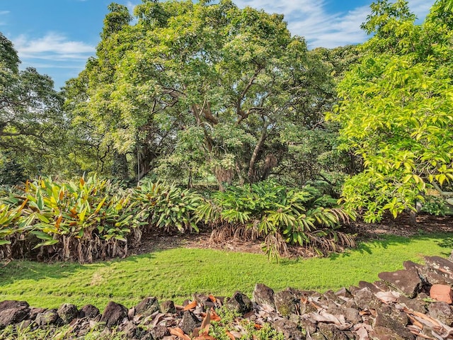 86-4190 Hookena Beach Rd, Captain Cook, HI 96704 - view of yard