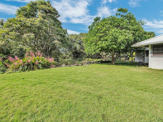 86-4190 Hookena Beach Rd, Captain Cook, HI 96704 - view of green lawn