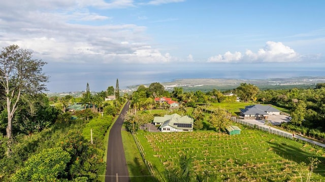 75-1069-A Kamalani St, Holualoa, HI 96725 - photo 24