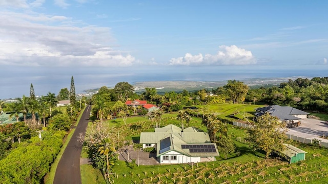 75-1069-A Kamalani St, Holualoa, HI 96725 - photo 26
