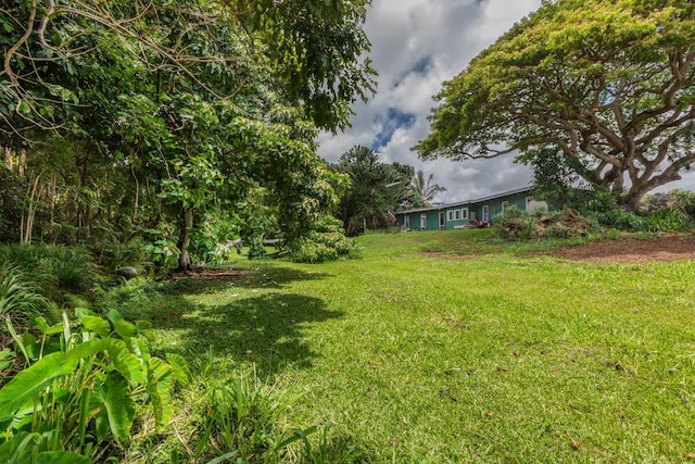 4664-A Apopo Rd, Kapaa, HI 96746 - photo 30