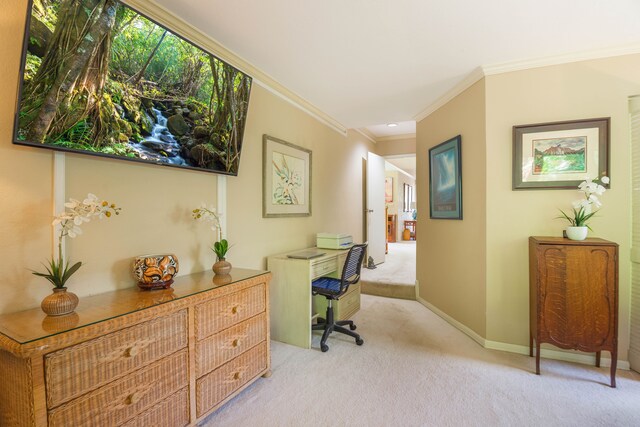 3920 Wyllie Rd Unit 6A, Princeville, HI 96722 - office space featuring light carpet, ornamental molding, and recessed lighting