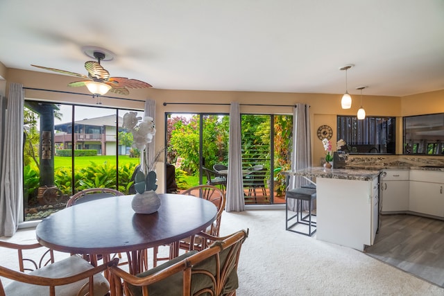 3920 Wyllie Rd Unit 6A, Princeville, HI 96722 - dining area featuring ceiling fan and light carpet