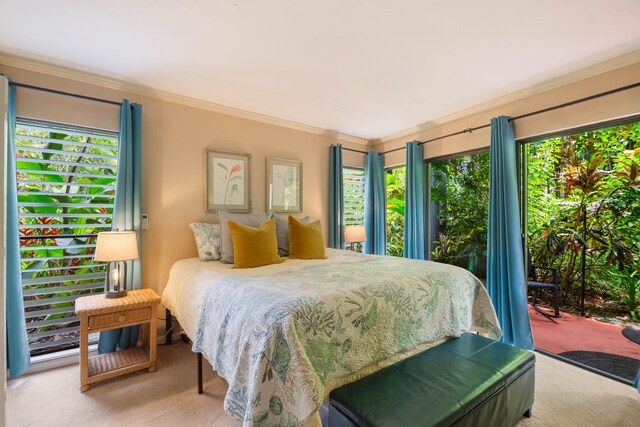 3920 Wyllie Rd Unit 6A, Princeville, HI 96722 - carpeted bedroom featuring multiple windows, crown molding, and access to exterior