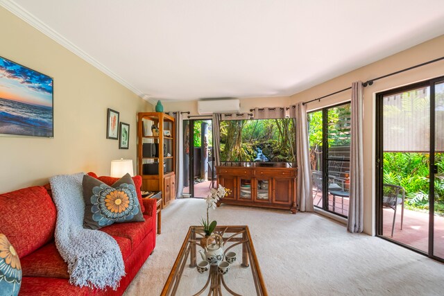 3920 Wyllie Rd Unit 6A, Princeville, HI 96722 - living area featuring a wall unit AC, carpet flooring, and ornamental molding
