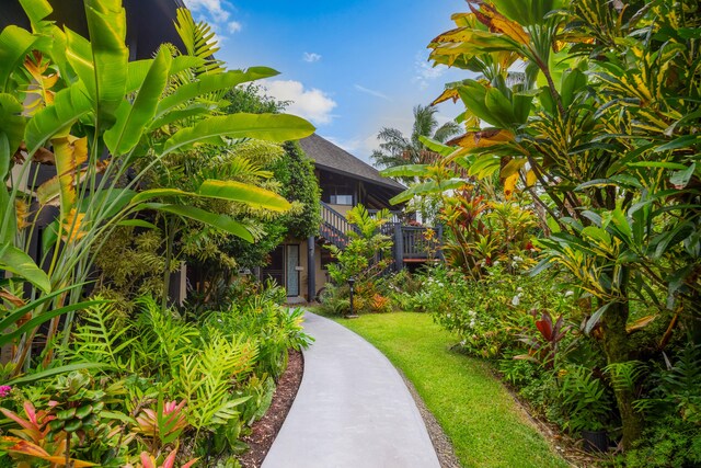 3920 Wyllie Rd Unit 6A, Princeville, HI 96722 - view of yard
