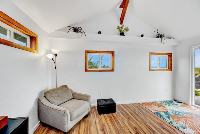 12-2173 Piilani Rd, Pahoa, HI 96778 - photo 9